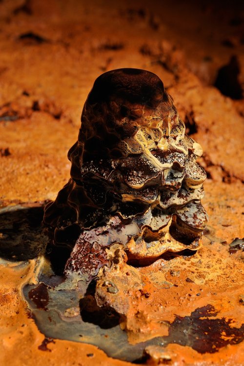 sp-10-0015(SP-10-0015.jpg)