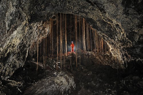 Big Island (Hawaï). Rideau de racines dans lost Brother Cave.(SP-10-0188)