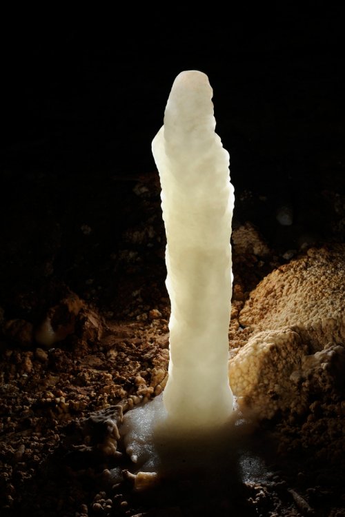 Grotte de Dargilan (Lozère) : Stalagmite blanche en contre-jour(SP-11-0005)
