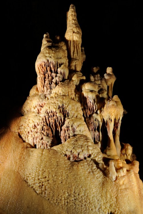 Grotte de Dargilan (Lozère) : Stalagmites massives (le Minaret - partie touristique)(SP-11-0067)