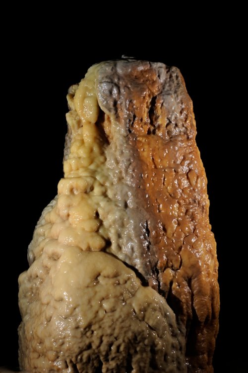 Grotte de Dargilan (Lozère) : Stalagmite colorée(SP-11-0072.jpg)