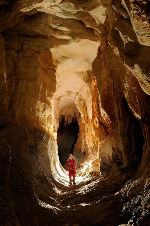 Grotte de la Cotepatière (Ardèche) - Galerie verticale (SP-11-0386.jpg)