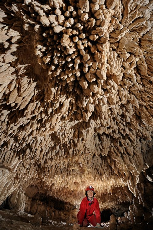 Grotte de l'Ascension (Hérault) - Petite galerie couverte de stalactites massives blanches au plafond(SP-11-0851)