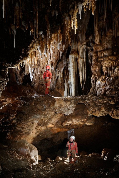 Grotte des Vents d'Anges (Aude) - Galerie avec deux niveaux (ancien plancher calcifié sur un remplissage qui a été érodé)(SP-12-0814)