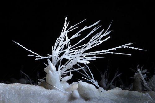 Grotte des Canalettes (Pyrénées Orientales) - Aiguilles d'aragonite(SP-12-0901)