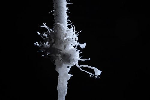 Grotte des Canalettes (Pyrénées Orientales) - Petites excentriques sur une stalactite(SP-12-0913)