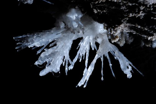 Grotte des Canalettes (Pyrénées Orientales) - Petit bouquet d'aragonite(SP-12-0914)