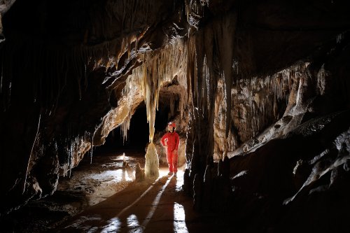 Grotte des Canalettes (Pyrénées Orientales) - Galerie concrétionnée(SP-12-0931)