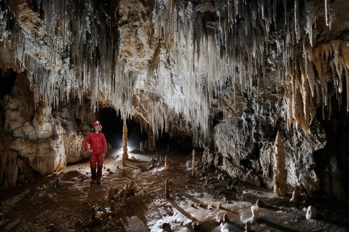 Grotte des Canalettes (Pyrénées Orientales) - Galerie concrétionnée(SP-12-0947)