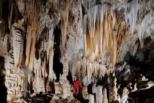 Grotte des Canalettes (Pyrénées Orientales) - Grande salle concrétionnée avec spéléo au milieu des colonnes(SP-12-0962)