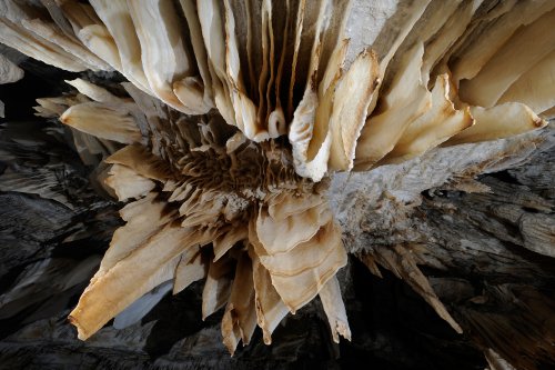 Grotte des Canalettes (Pyrénées Orientales) - Fine excentrique partant d'une stalactite - Stalactites et draperies vue de dessous(SP-12-0965)