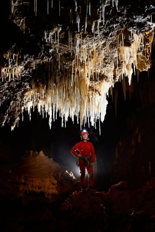 Grotte de Pousselières (Hérault) - Spéléologue devant un groupe de stalactites (salle de la comète) (SP-12-1050)
