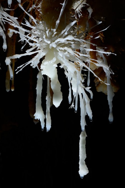 Grotte de Pousselières (Hérault) - Petit bouquet d'aragonite (avec aiguilles)(SP-12-1079)