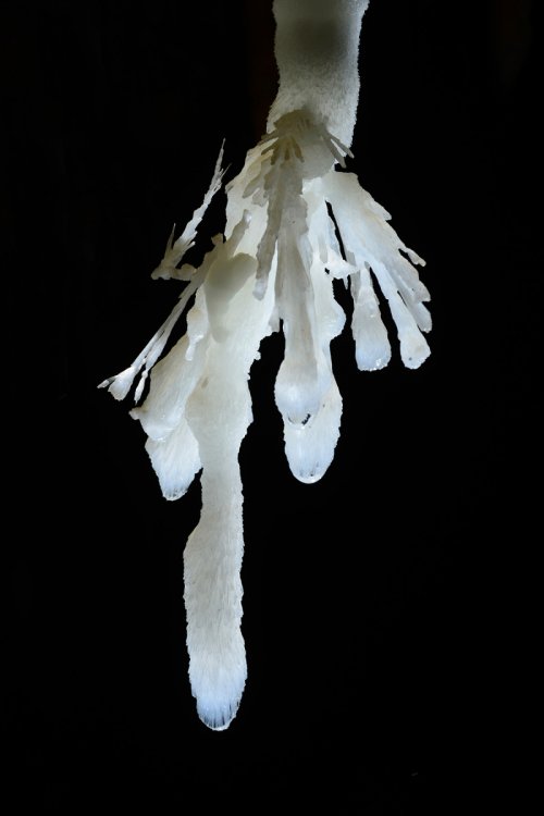 Grotte de Pousselières (Hérault) - Détail de l'extrémité d'une stalactite d'aragonite(SP-12-1082)