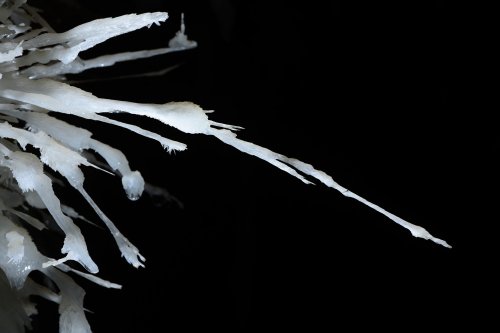 Grotte de Pousselières (Hérault) - Détail d'une aiguille d'aragonite(SP-12-1085)