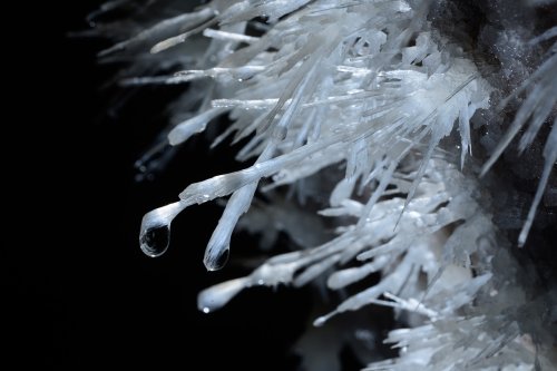 Grotte de Pousselières (Hérault) - Aiguilles d'aragonite(SP-12-1090)