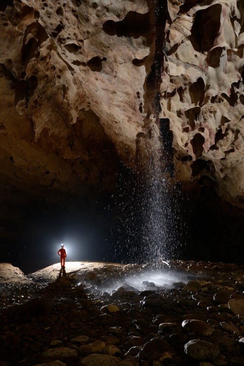 Deer Cave (Gunung Mulu National Park, Bornéo, Malaisie) - Cascade tombant du plafond dans la galerie inférieure.(SP-13-0444)
