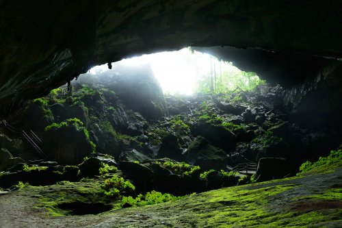 Clearwater Cave (Gunung Mulu National Park, Bornéo, Malaisie) - Porche d'entrée vu de l'intérieur de la grotte.(SP-13-0608)