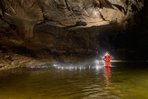 Clearwater Cave (Gunung Mulu National Park, Bornéo, Malaisie) - Progression dans la rivière.(SP-13-0631)