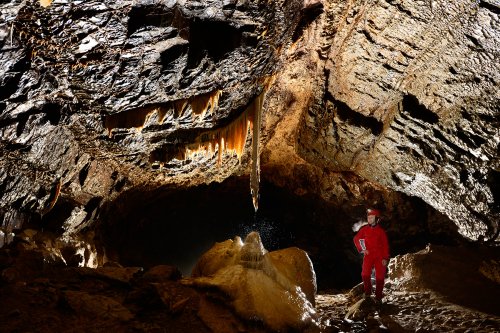 Nova Amaterska Cave (Tchéquie, Moravie, Parc National de Podiji) - Galerie(SP-13-0750)
