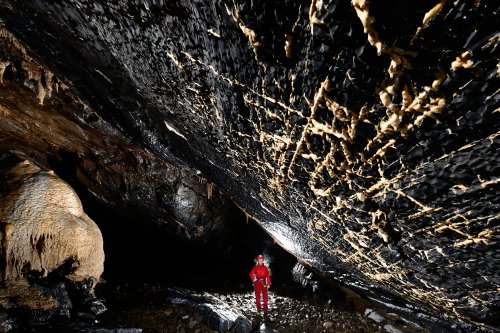 Stara Amaterska Cave (Tchéquie, Moravie, Parc National de Podiji) - Plafond avec fractures remplies de calcite blanche dans les calcaires dévoniens noirs. Spéléo en fond. (SP-13-0828)