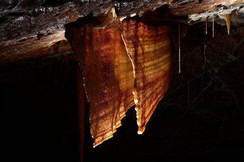 Stara Amaterska Cave (Tchéquie, Moravie, Parc National de Podiji) - Draperie orange avec pointillés(SP-13-0833)