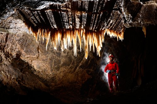 Stara Amaterska Cave (Tchéquie, Moravie, Parc National de Podiji) - Rideau de stalactites avec spéléo derrière.(SP-13-0849)