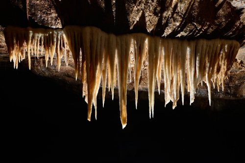 Stara Amaterska Cave (Tchéquie, Moravie, Parc National de Podiji) - Rideau de stalactites alignées sur une fracture (SP-13-0851)