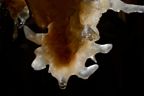 Grotta Impossibile (région de Trieste, Italie) - Détail de concrétion(SP-13-1070)