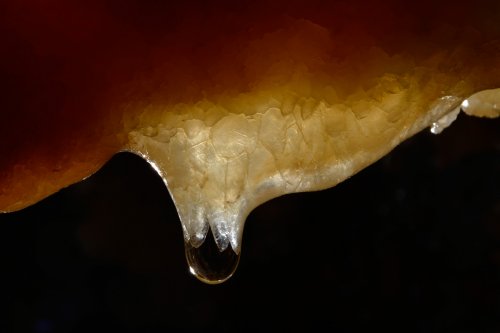 Grotta Impossibile (région de Trieste, Italie) - Calcite colorée avec goutte d'eau(SP-13-1102)