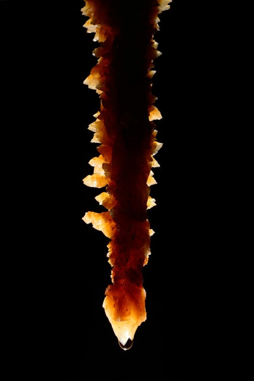 Grotta Impossibile (région de Trieste, Italie) - Cristaux de calcite se développant sur une stalactite(SP-13-1138)