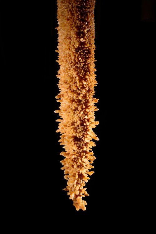 Grotta Impossibile (région de Trieste, Italie) - Stalactite avec cristaux.(SP-13-1163)