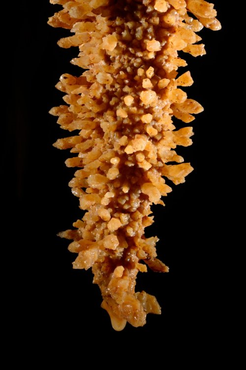 Grotta Impossibile (région de Trieste, Italie) - Stalactite avec cristaux (détail)(SP-13-1165)