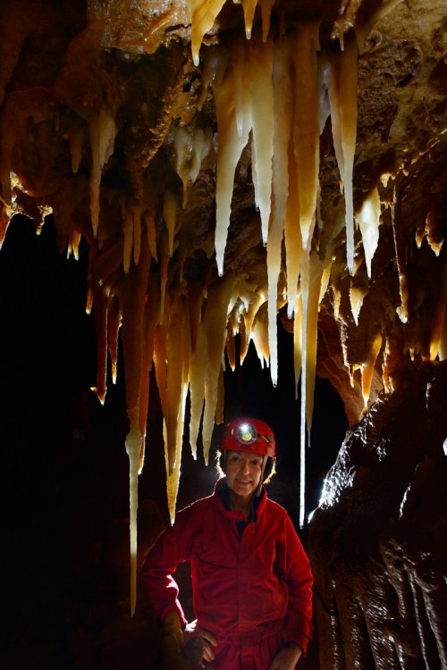 Grotta Gualterio Savi (région de Trieste, Italie) - spéléo dans galerie principale concrétionnée(SP-13-1193)