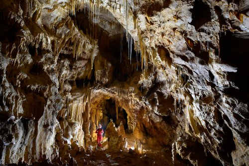Grotta Gualterio Savi (région de Trieste, Italie) - Galerie concrétionnée(SP-13-1202)
