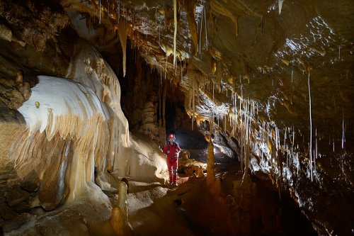 Grotta Gualterio Savi (région de Trieste, Italie) - spéléo dans galerie concrétionnée(SP-13-1215)