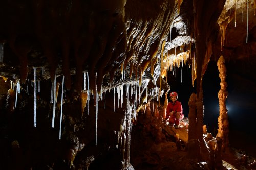 Grotta Gualterio Savi (région de Trieste, Italie) - Paroi concrétionnée avec spéléo en fond(SP-13-1222)