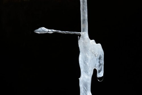 Grotta Gualterio Savi (région de Trieste, Italie) - Excentrique de calcite(SP-13-1228)