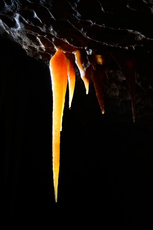 Grotta Gualterio Savi (région de Trieste, Italie) - Stalactite orange(SP-13-1242.jpg)