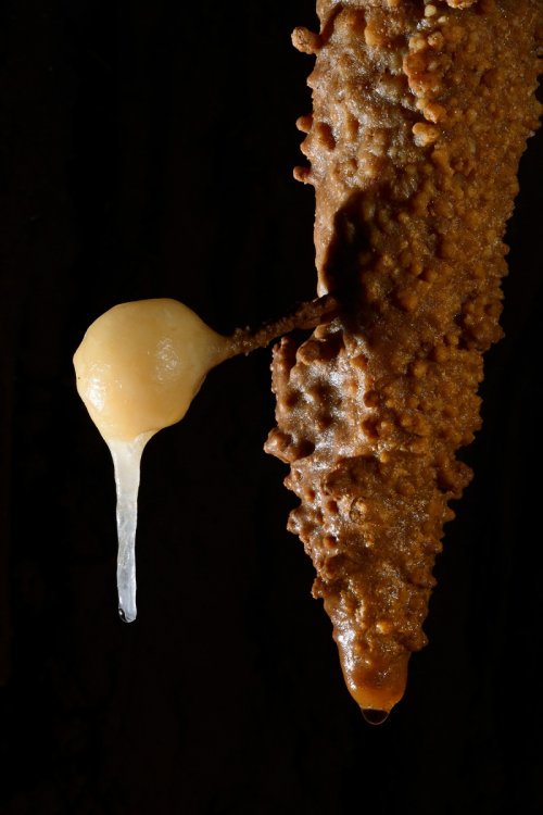 sp-13-1388 (SP-13-1388.jpg)