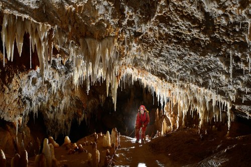 Grotte de Pousselières (Hérault) - Spéléo dans passage balisé au milieu des concrétions(SP-13-1419)