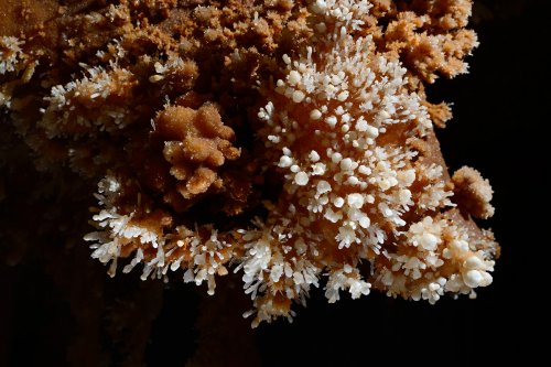Grotte des Ecossaises (Hérault) - Cristaux de calcite blanche(SP-13-1468)