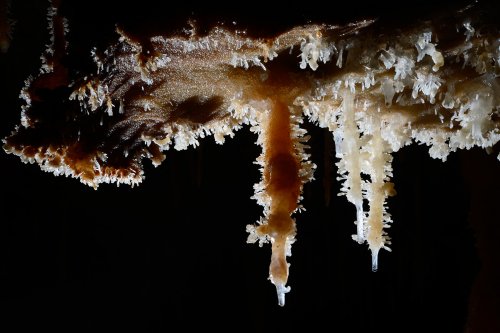 Grotte des Ecossaises (Hérault) - Stalactites colorées en contre jour(SP-13-1470)