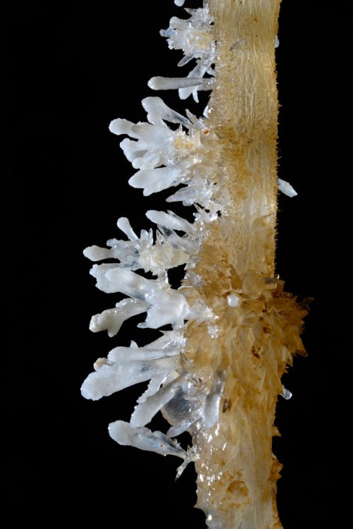 Grotte des Ecossaises (Hérault) - Détail d'une stalactite avec cristaux de calcite(SP-13-1475)