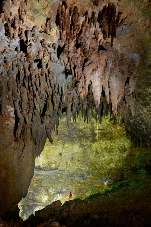 Cueva Clara (Systema Camuy, Porto Rico) - Galerie débouchant sur un puits éclairé par la lumière du jour(SP-14-0277)