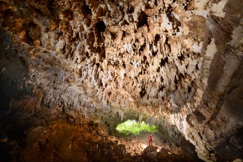 Rio Encantado(Porto Rico) - Salle d'entrée avec plafond couvert de stalactites(SP-14-0336.jpg)