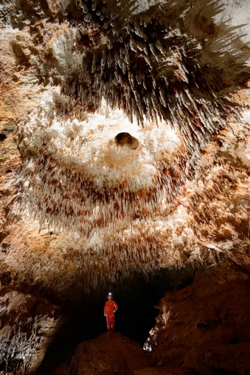 Légende(SP-14-0341.jpg)