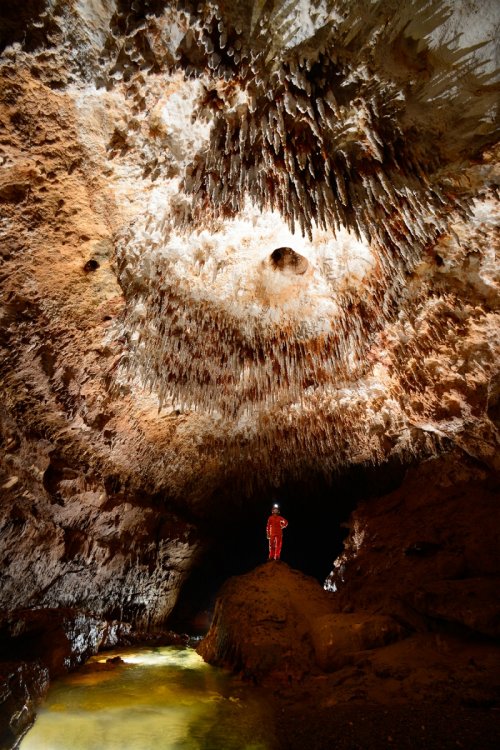 Rio Encantado(Porto Rico) - Galerie avec rivière et ensemble de stalactites formant un cercle au plafond (SP-14-0347)