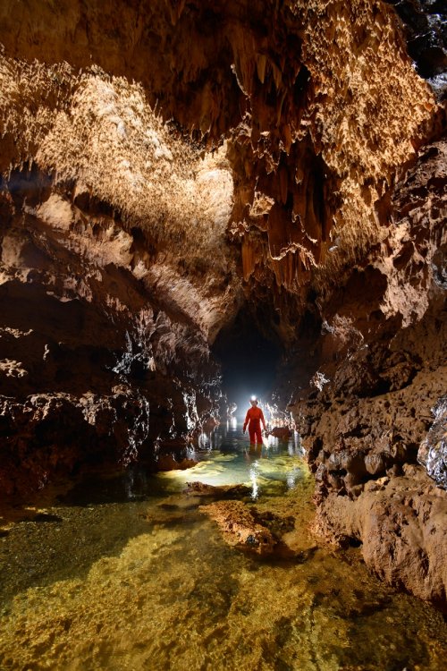 Rio Encantado(Porto Rico) - Galerie avec rivière souterraine(SP-14-0350)