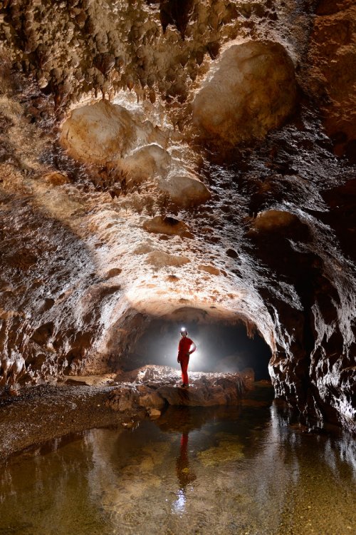 Rio Encantado(Porto Rico) - Galerie avec rivière souterraine(SP-14-0418)